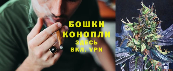меф Арсеньев