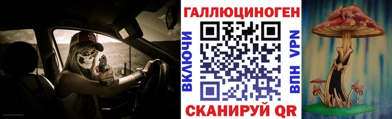 где купить   блэк спрут как зайти  Галлюциногенные грибы GOLDEN TEACHER  darknet наркотические препараты  Темрюк 