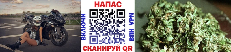 mega как войти  хочу наркоту  Темрюк  Бошки марихуана сатива 